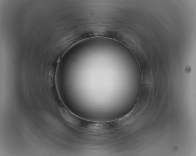 X0000097490082200802221425