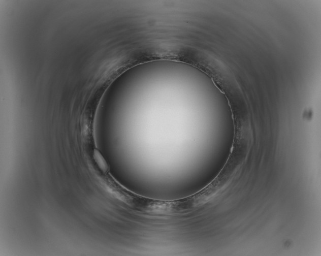 X0000097490084200802221425