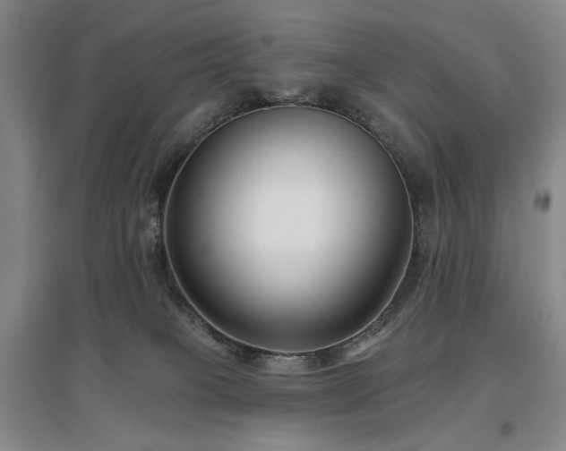 X0000097490085200802221425