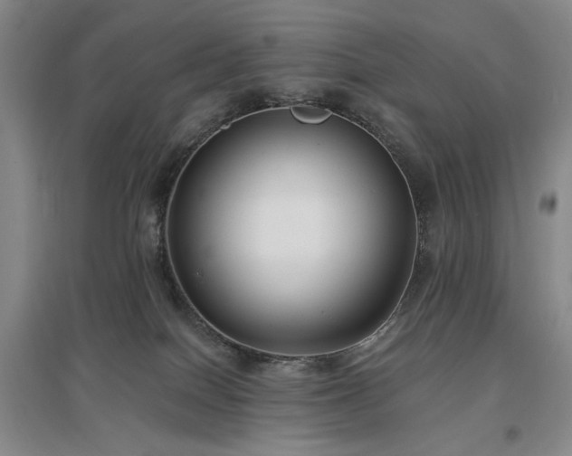 X0000097490086200802221425