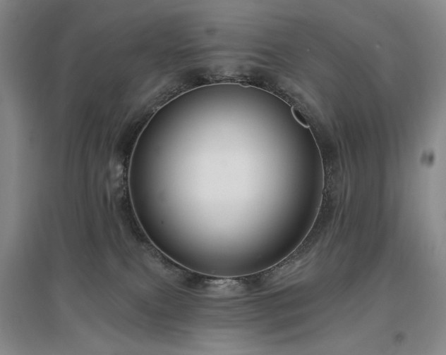 X0000097490087200802221425