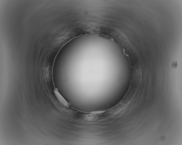 X0000097490088200802221425