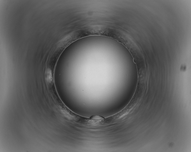 X0000097490089200802221425