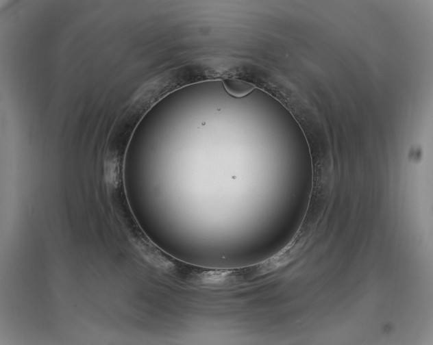 X0000097490090200802221425