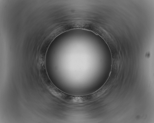 X0000097490091200802221425