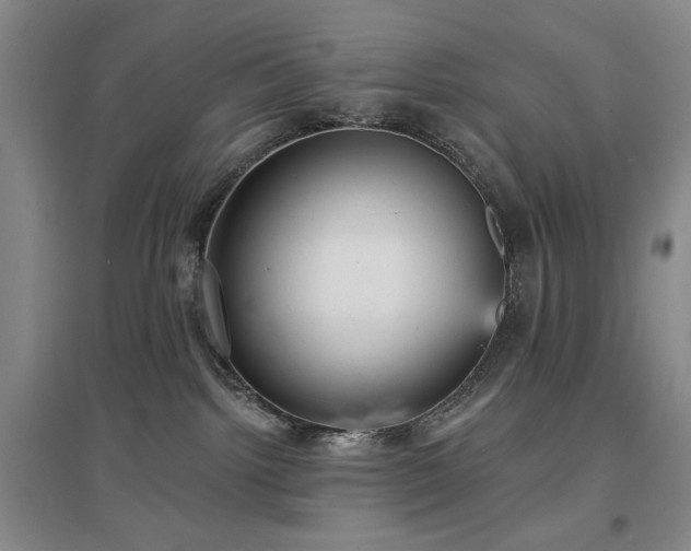 X0000097490092200802221425