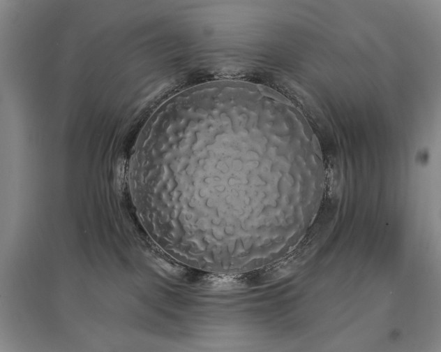 X0000097490093200802221425