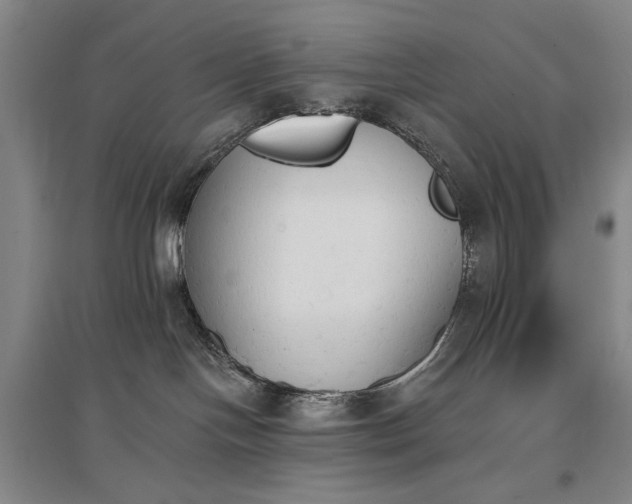 X0000097490094200802221425