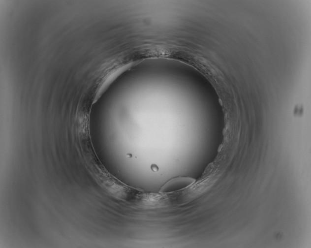 X0000097490096200802221425