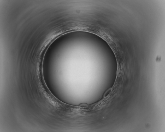 X0000097490098200802221424