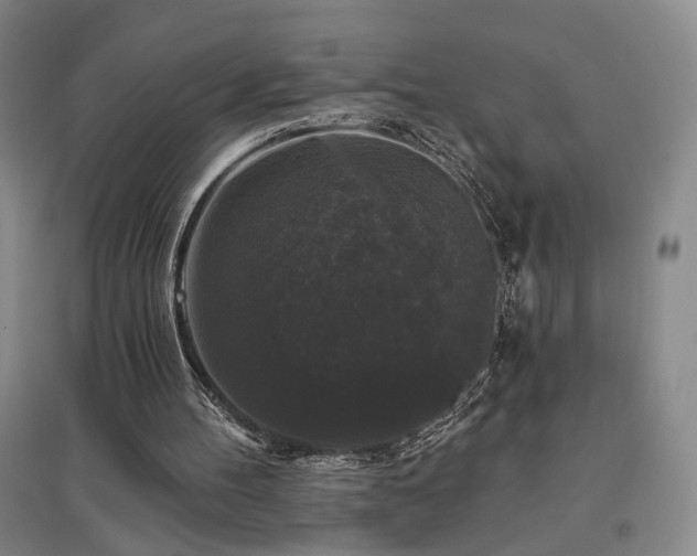 X0000097490100200802221424