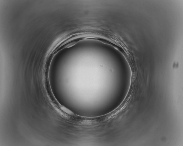 X0000097490101200802221424