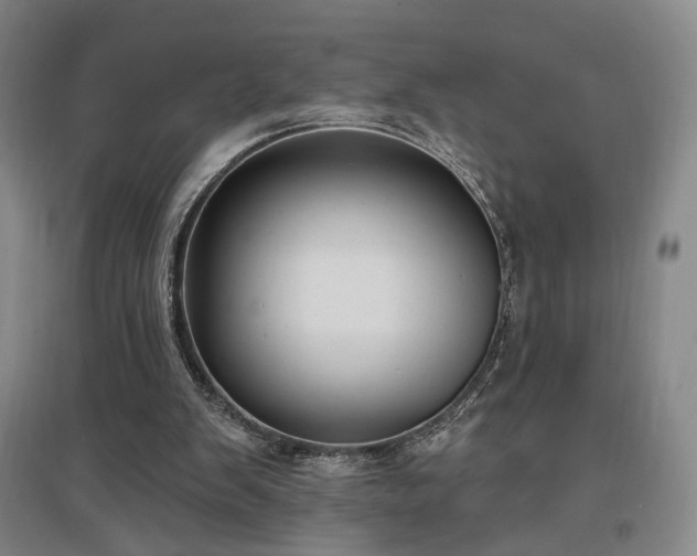 X0000097490103200802221424