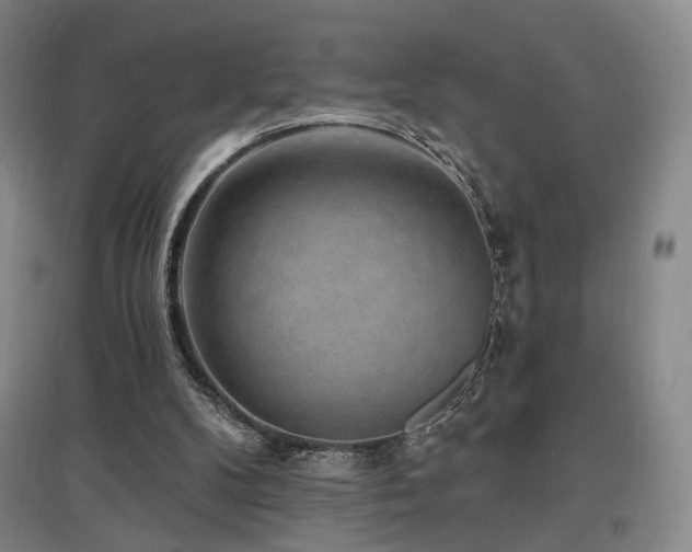 X0000097490104200802221424