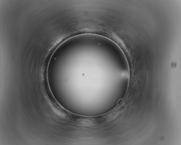 X0000097490106200802221424