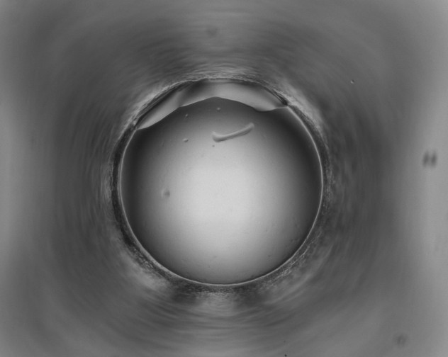 X0000097490107200802221424