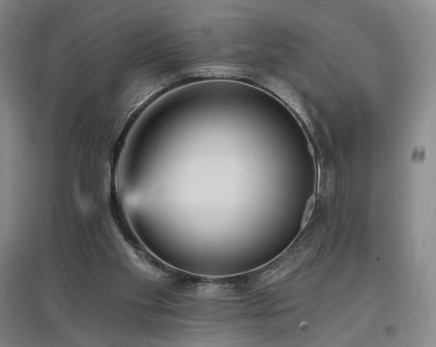 X0000097490109200802221424