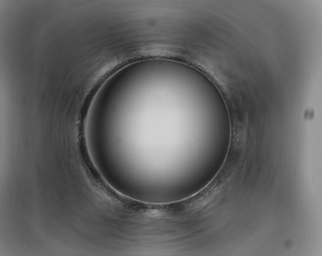 X0000097490111200802221424