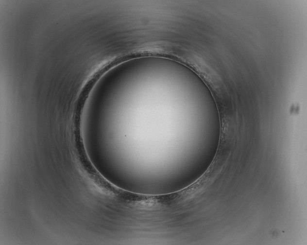 X0000097490112200802221424