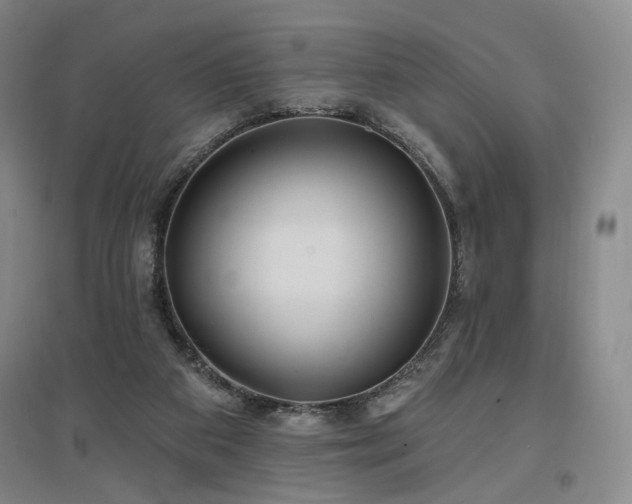 X0000097490113200802221424