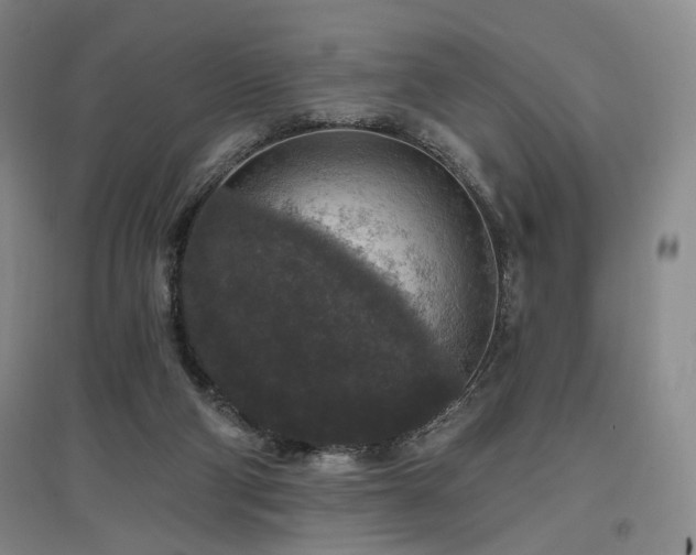 X0000097490114200802221424