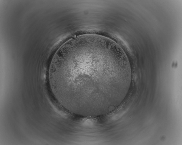 X0000097490115200802221424