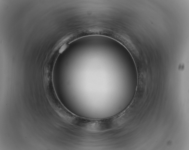 X0000097490116200802221424