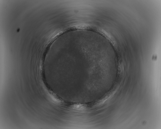 X0000097490117200802221424