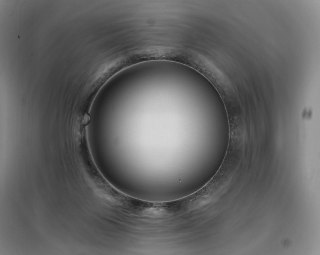 X0000097490119200802221424