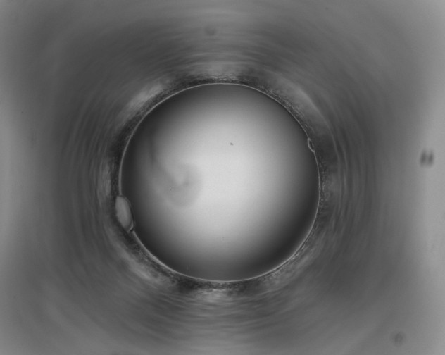 X0000097490120200802221424