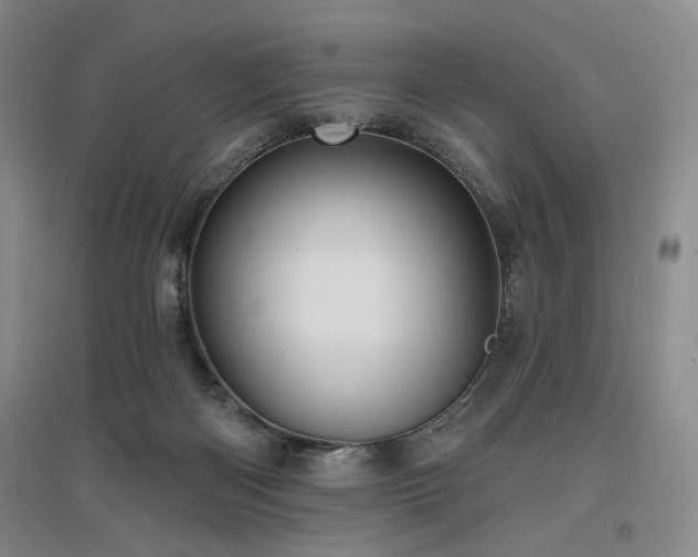 X0000097490122200802221424