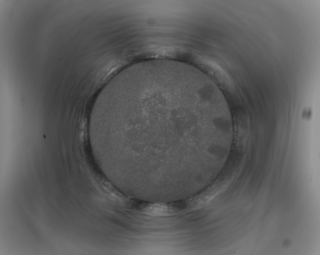 X0000097490123200802221424