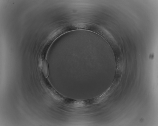 X0000097490124200802221424