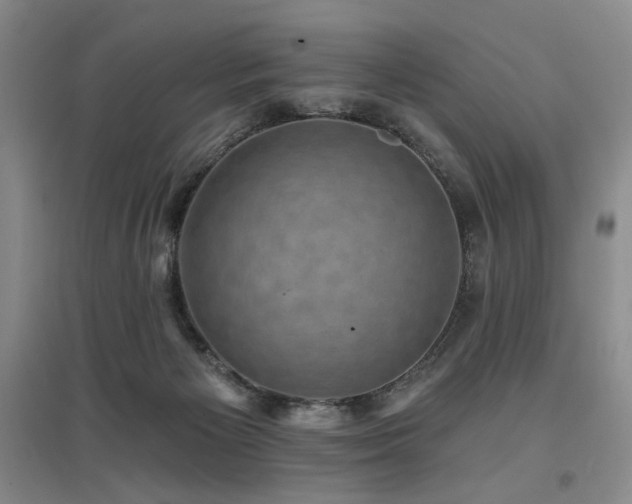 X0000097490125200802221424