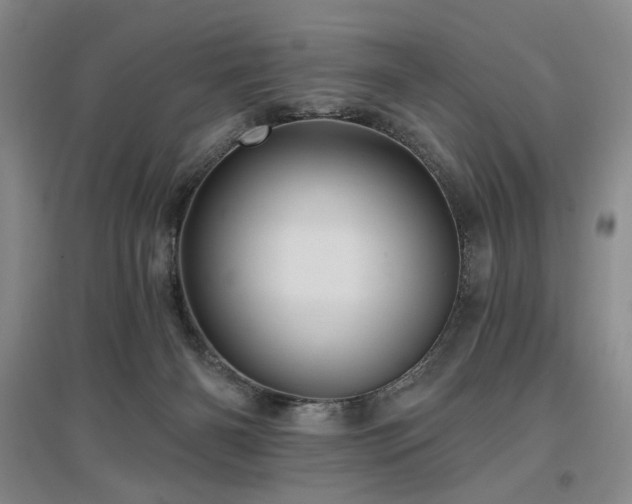 X0000097490126200802221424