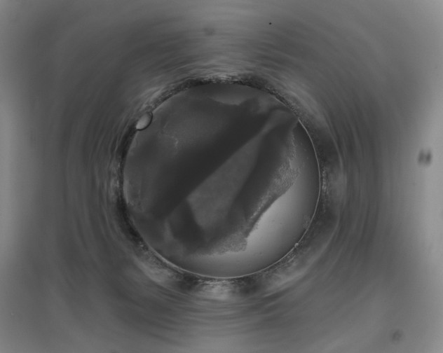 X0000097490127200802221424