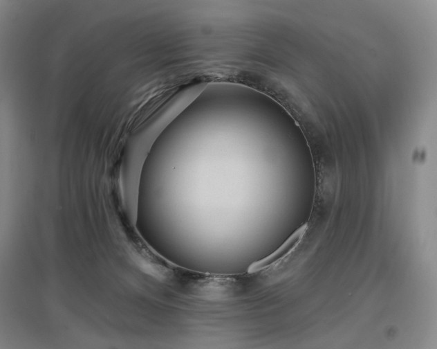 X0000097490128200802221424