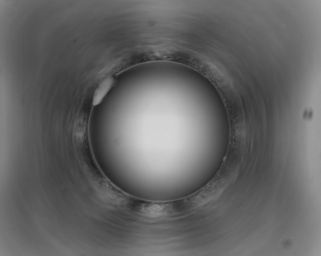 X0000097490129200802221424