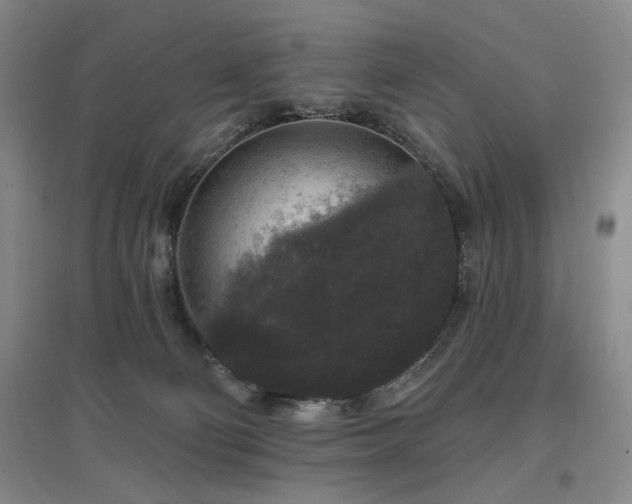 X0000097490130200802221424