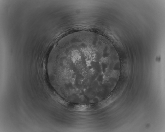 X0000097490131200802221424