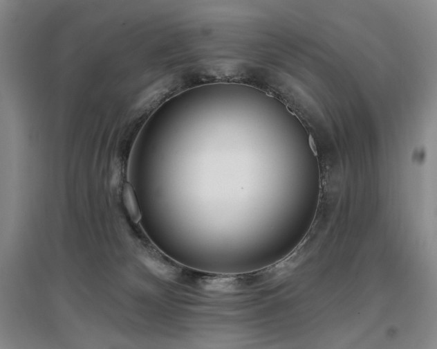 X0000097490132200802221424