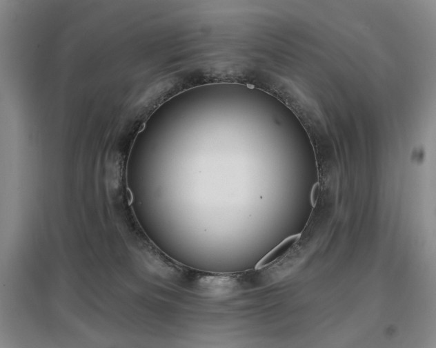 X0000097490133200802221424