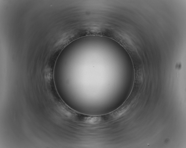 X0000097490135200802221424