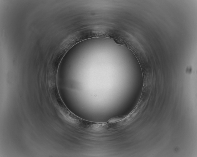 X0000097490136200802221424