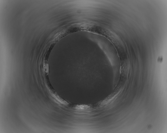 X0000097490137200802221424