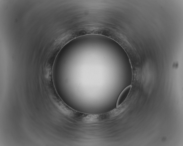 X0000097490138200802221424