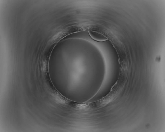 X0000097490139200802221424