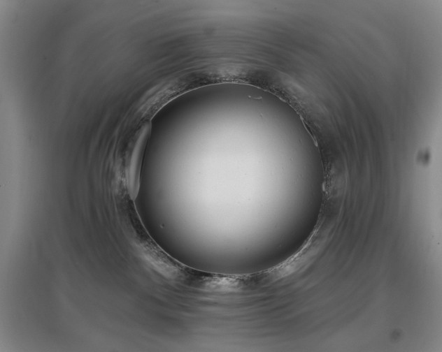 X0000097490140200802221424