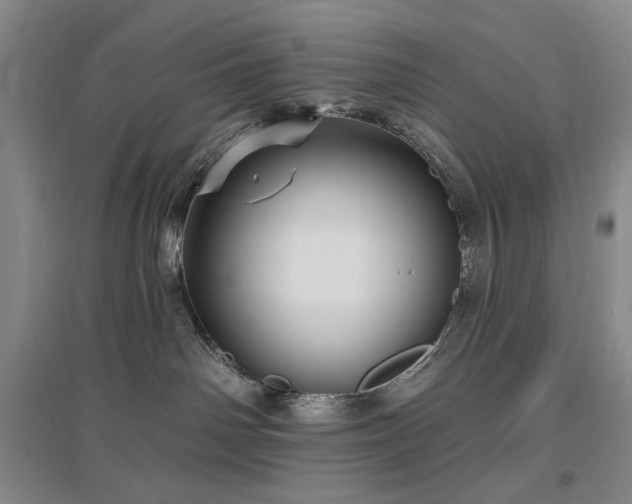 X0000097490142200802221424