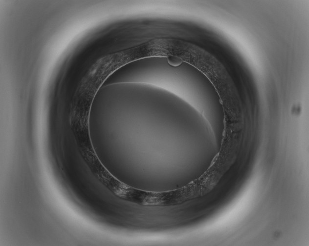 X0000097490143200802221424